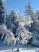 neige 120103 023.jpg (1890 octets)